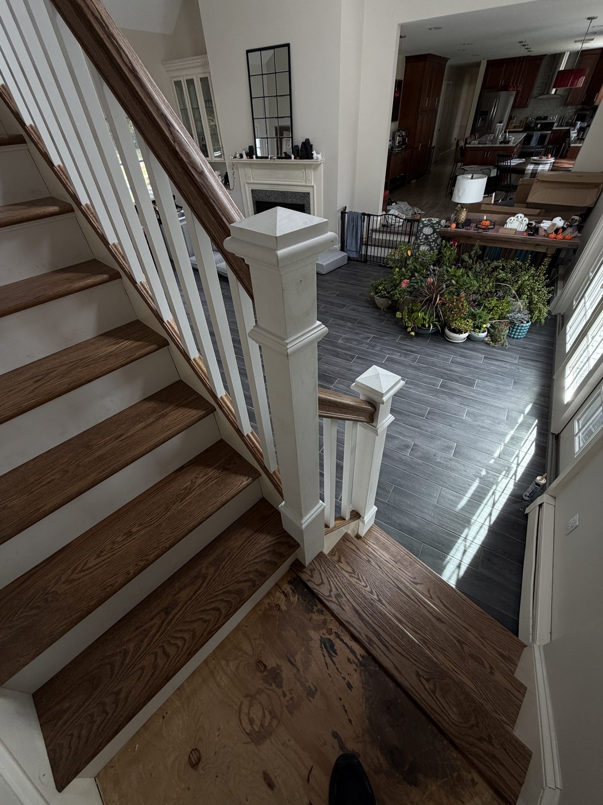 Red oak treads, white risers and a square newel post meeting the lower landing during the Rehoboth staircase rebuild.